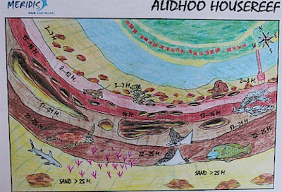 Alidhoo Housereef